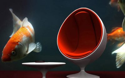 Déco Actuelle – La décoration murale autrement