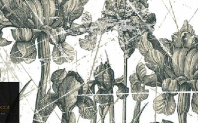 Wall & Deco | l’imaginaire à l’infini