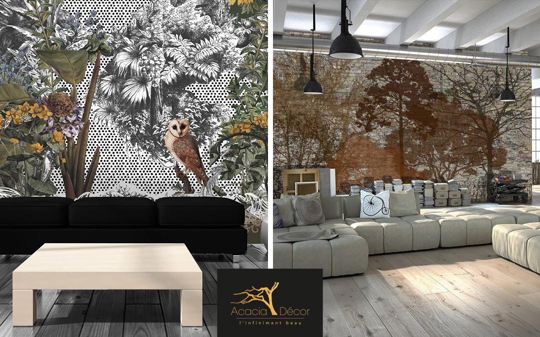 acacia decor increation