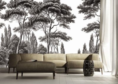 acacia-decor-panoramique