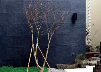 acacia-decor-revetements-muraux-feuille-de-roche