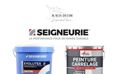 Quelques secondes d’inspiration… Seigneurie | La référence peinture | En exclusivité