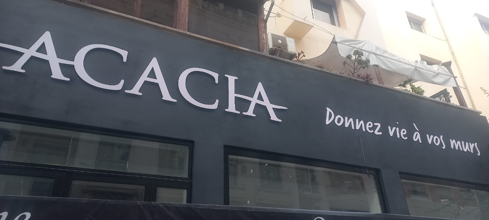 acacia
