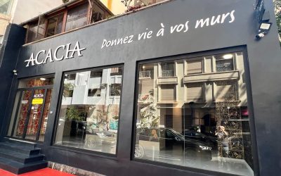 Le revêtement mural par excellence : Visitez notre nouveau Showroom !