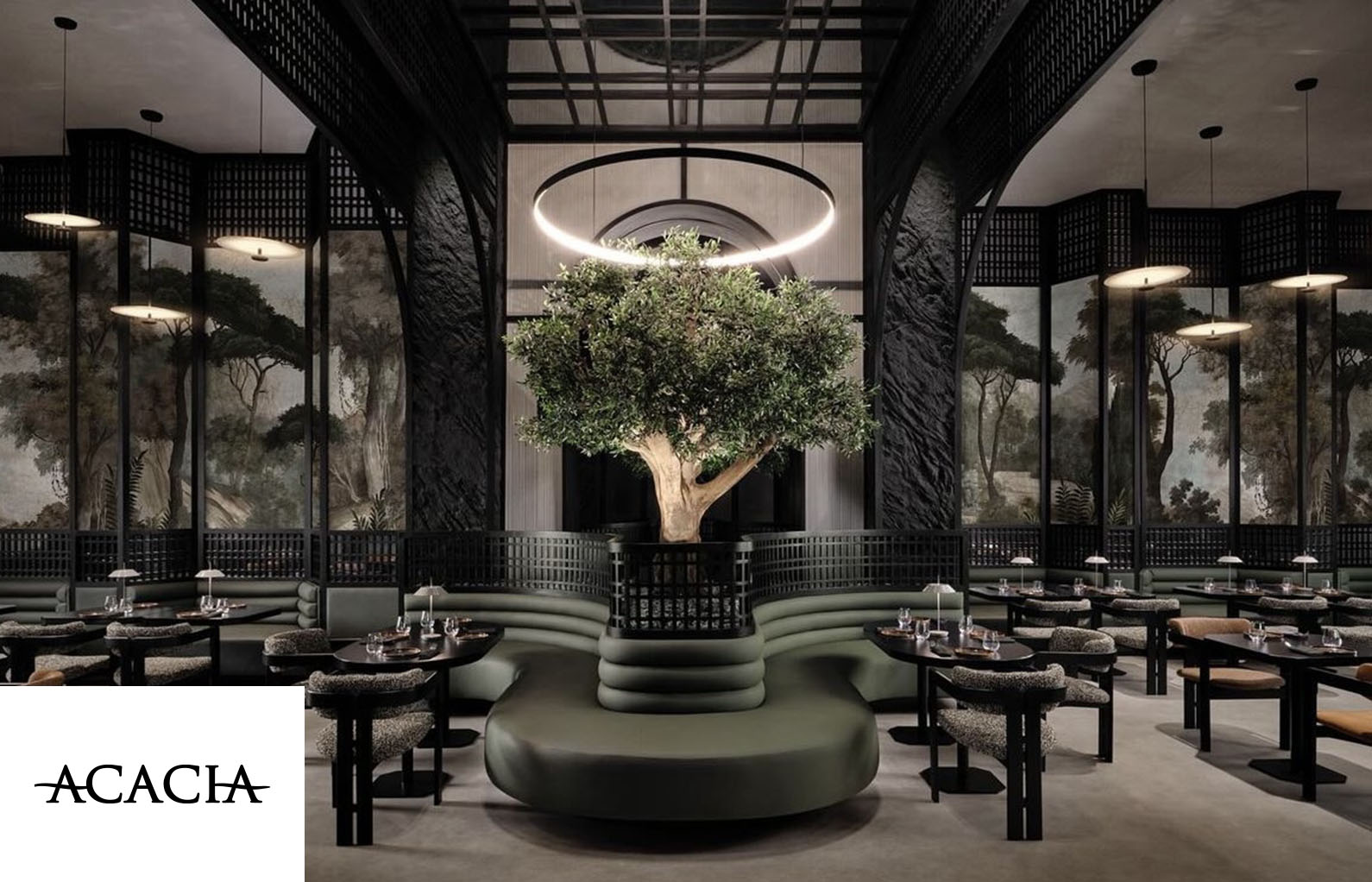 acacia-decor-ali-lahlou-ananbo-paysage